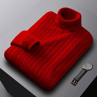 Pull Montant Élégant en Cachemire - Zane